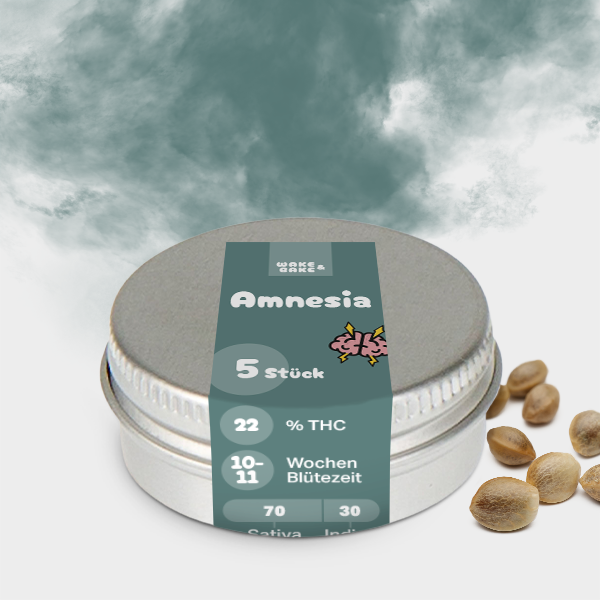 Amnesia 🌱 22%