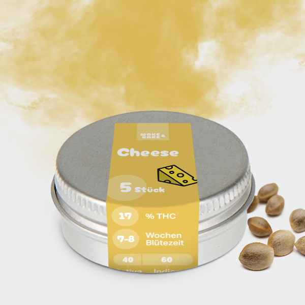 Cheese 🌱 17%