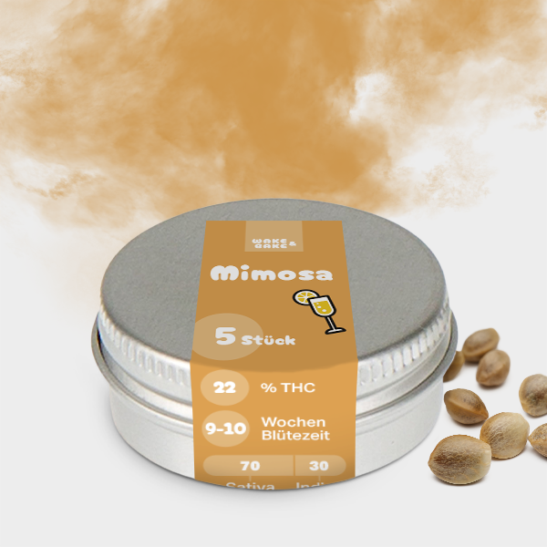 Mimosa 🌱 22%